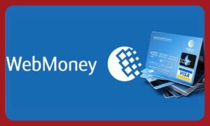 بررسی محدودیت های انواع پاسپورت وب مانی