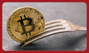 فورک بیت کوین چیست؟
