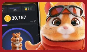 معرفی بازی همستر (Hamster Kombat)